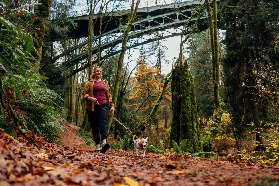 Ruffwear Hi & Light™ Lightweight Leash (Alpenglow Pink)